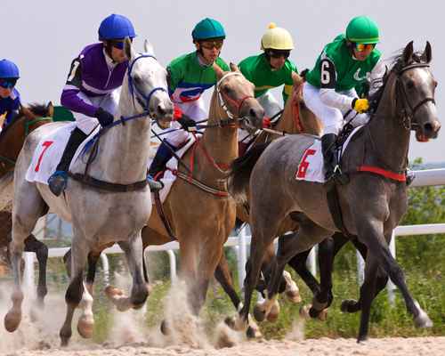 Horse racing